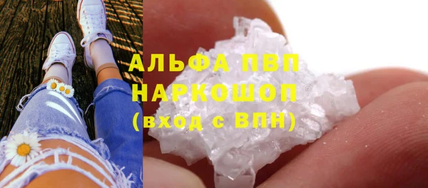 дживик Бронницы