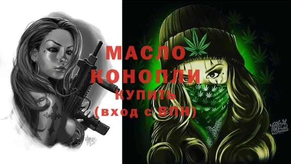 дживик Бронницы