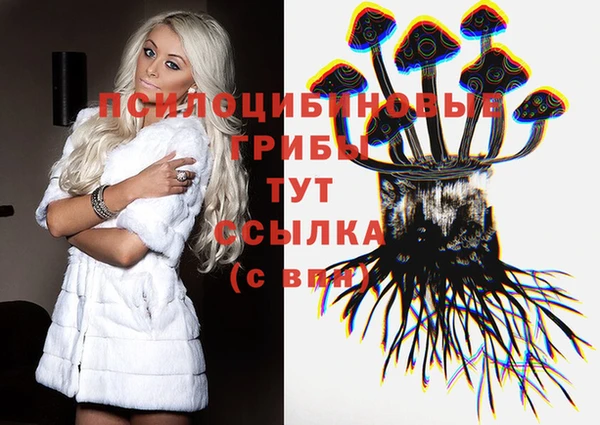 дживик Бронницы