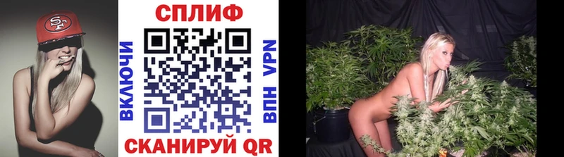 где купить Кушва Бошки Шишки ГИДРОПОН